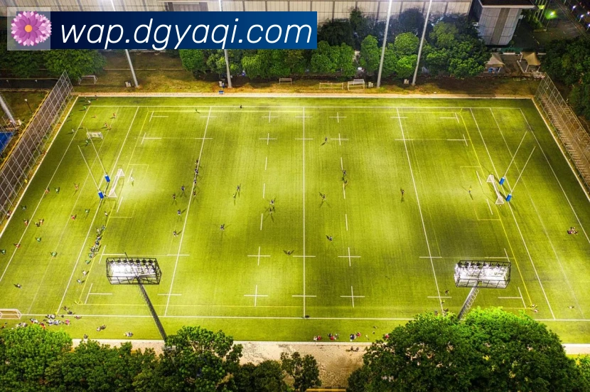 开云kaiyun官网APP 封面图